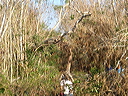 dsc00514